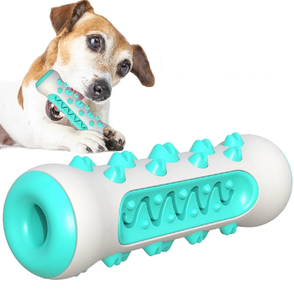 Pet Supplies Amazon Pop Dog To - Pet Supplies Amazon 리뷰 및 가격