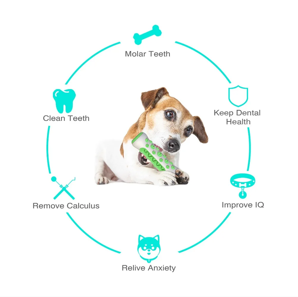 Pet Supplies Amazon Pop Dog To - Pet Supplies Amazon 리뷰 및 가격