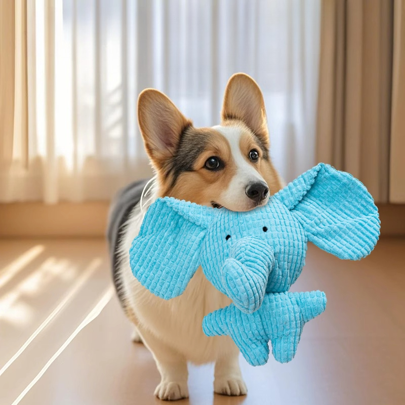 Cute Plush Dog Toys Pet Squeak - Pet Dental Chew Toy 리뷰 및 가격