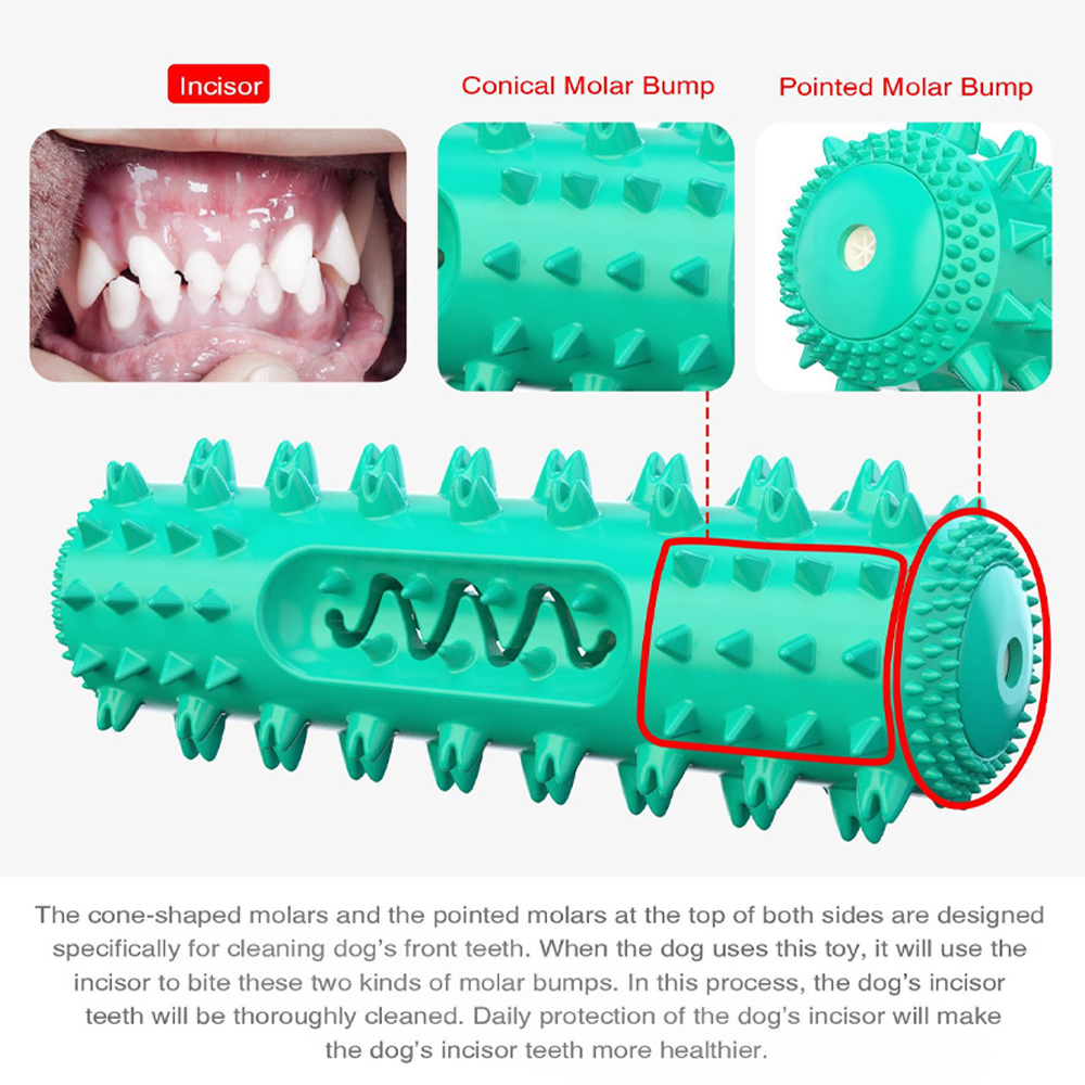 Dog Molar Toothbrush Toys Chew - Pet Dental Chew Toy 리뷰 및 가격