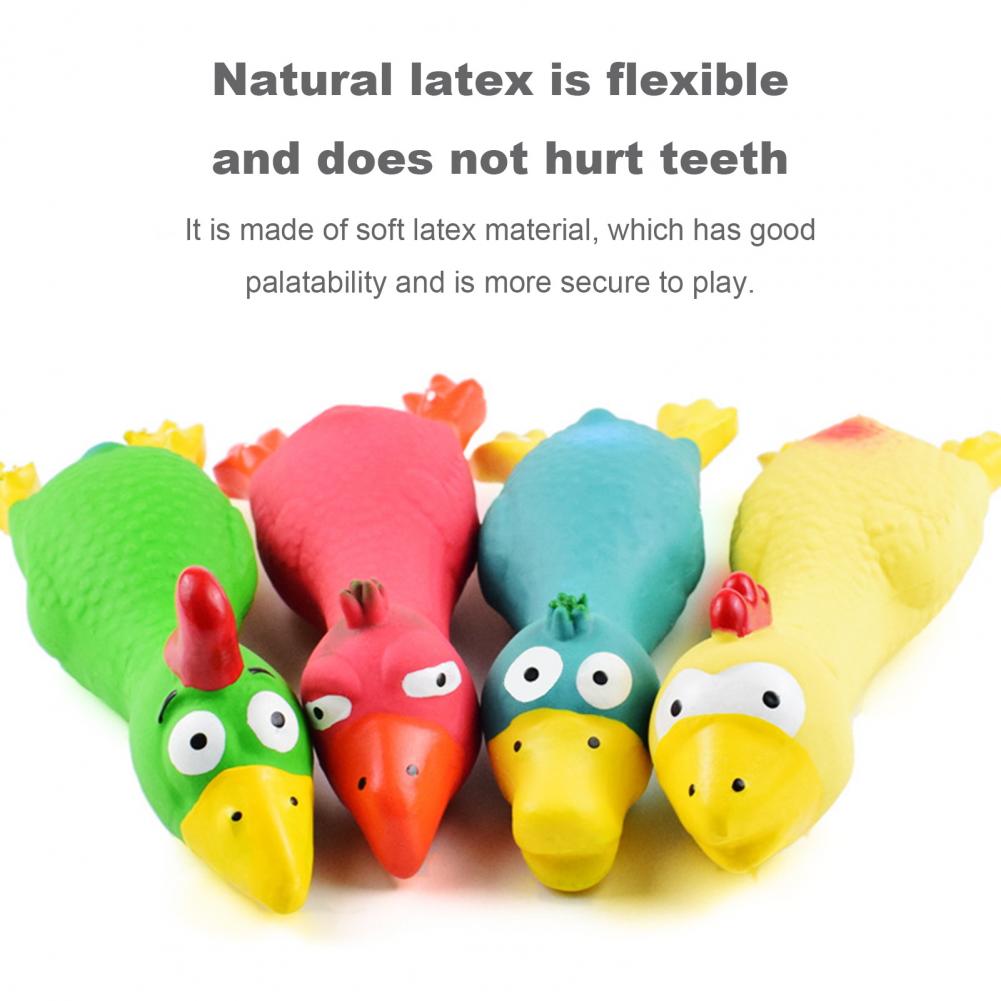 17*6.5cm Latex Chicken Dog Toy - Pet Dental Chew Toy 리뷰 및 가격