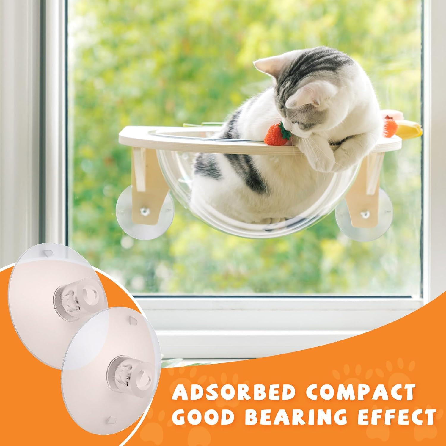 4 Pieces Cat Window Perch Suct - Cat Window Perch 리뷰 및 가격