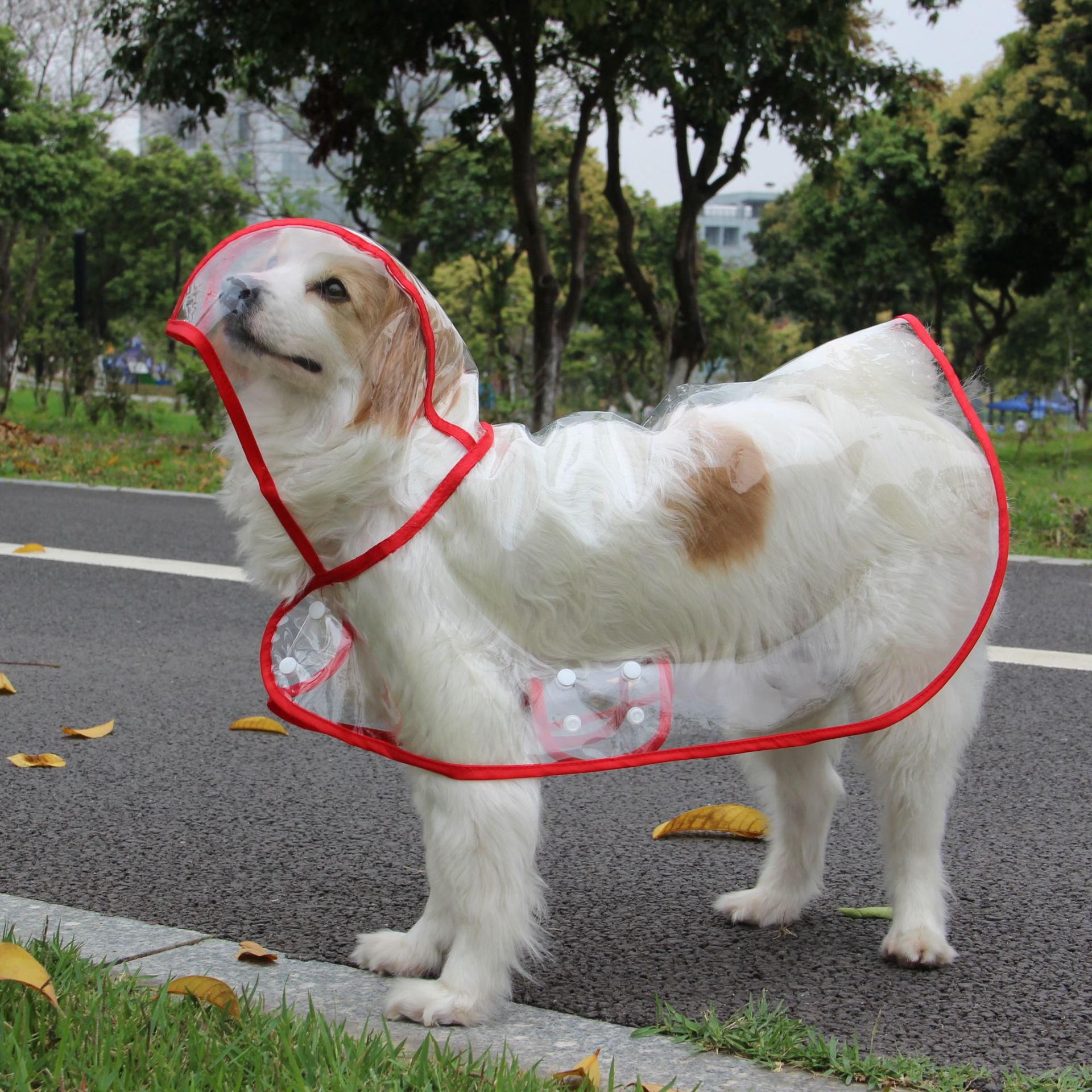 Xs-8XL Fashionable Pet Dog Clo - Dog Raincoat 리뷰 및 가격