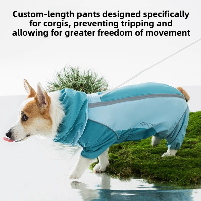 2026 Full Coverage Color Block - Dog Raincoat 리뷰 및 가격