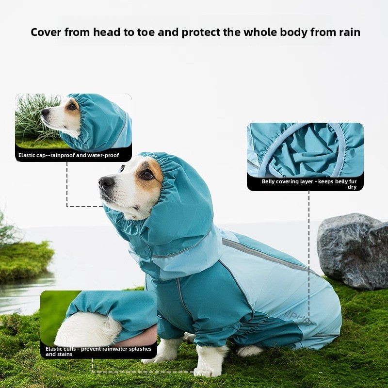2026 Full Coverage Color Block - Dog Raincoat 리뷰 및 가격