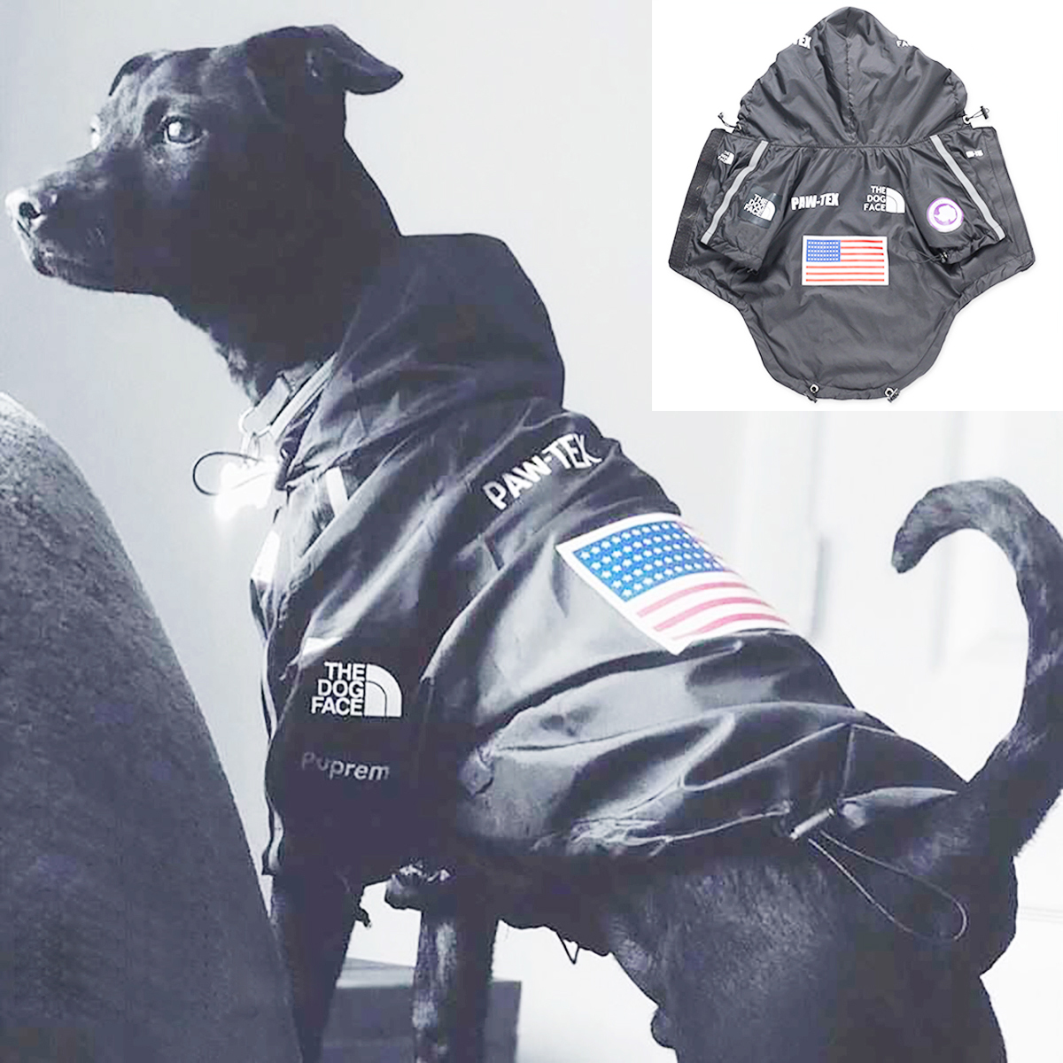 Pet Dog Waterproof Coat Dog Ra - Dog Raincoat 리뷰 및 가격