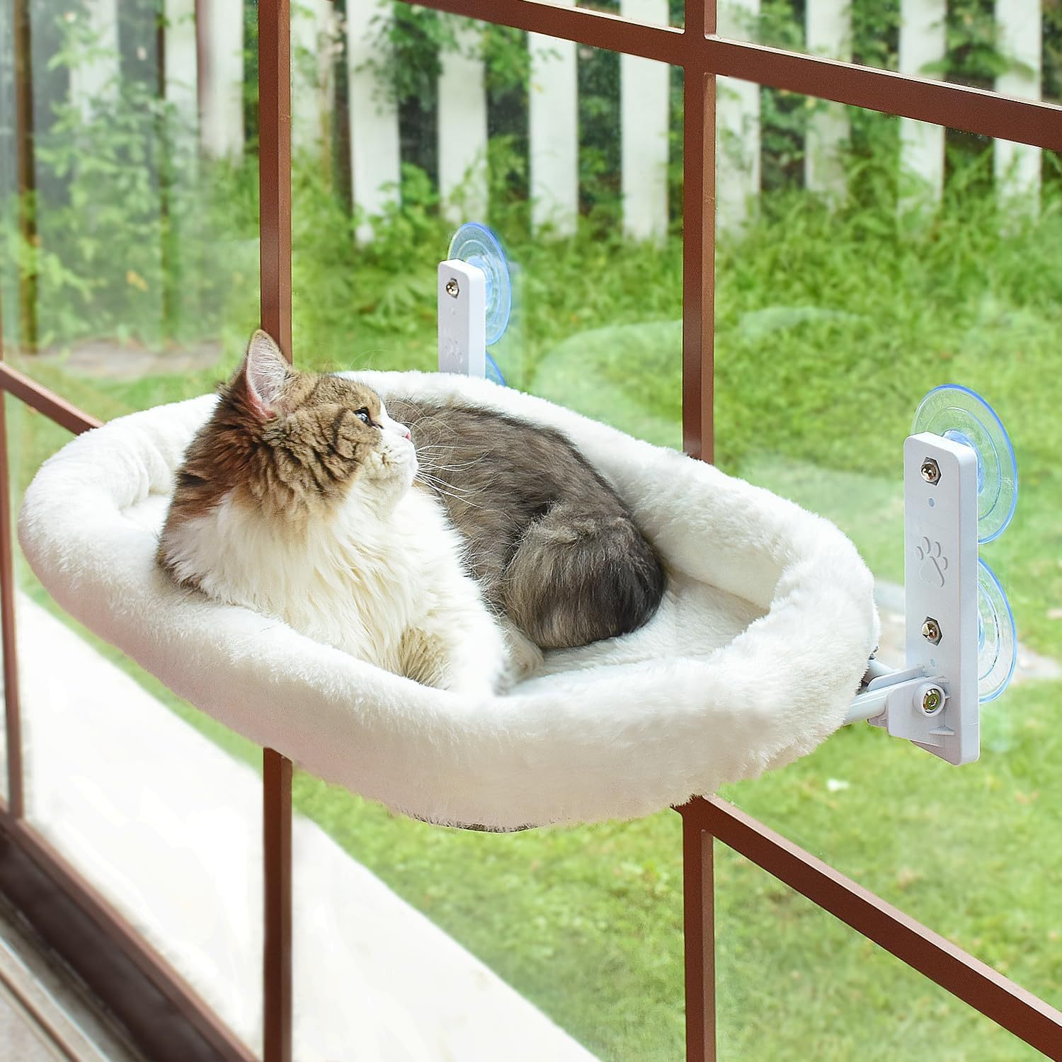 Cat Window Hammock Suction Cup - Cat Window Perch 리뷰 및 가격