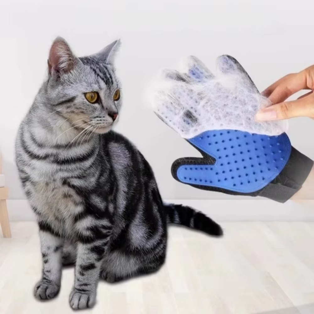 Pet Cat Dog Grooming Gloves Ca - Pet Supplies Dropshipping 리뷰 및 가격
