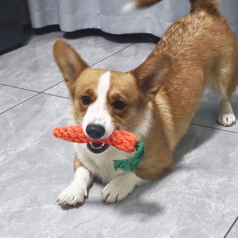 Carrot Shape Rope Knot Dog Toy - Pet Dental Chew Toy 리뷰 및 가격