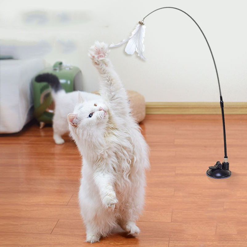 New powerful suction cat-teasi - Pet Supplies Amazon 리뷰 및 가격