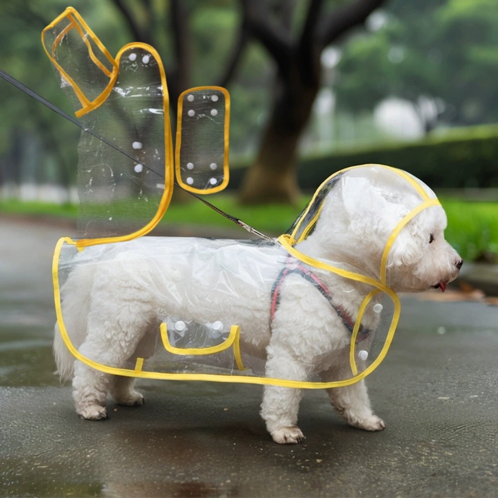 Dog Raincoat Transparent Whole - Dog Raincoat 리뷰 및 가격