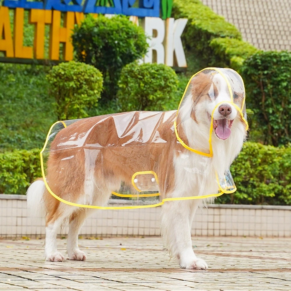 Dog Raincoat Transparent Whole - Dog Raincoat 리뷰 및 가격