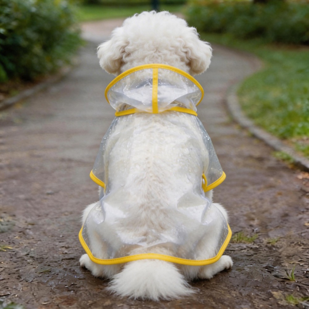 Dog Raincoat Transparent Whole - Dog Raincoat 리뷰 및 가격