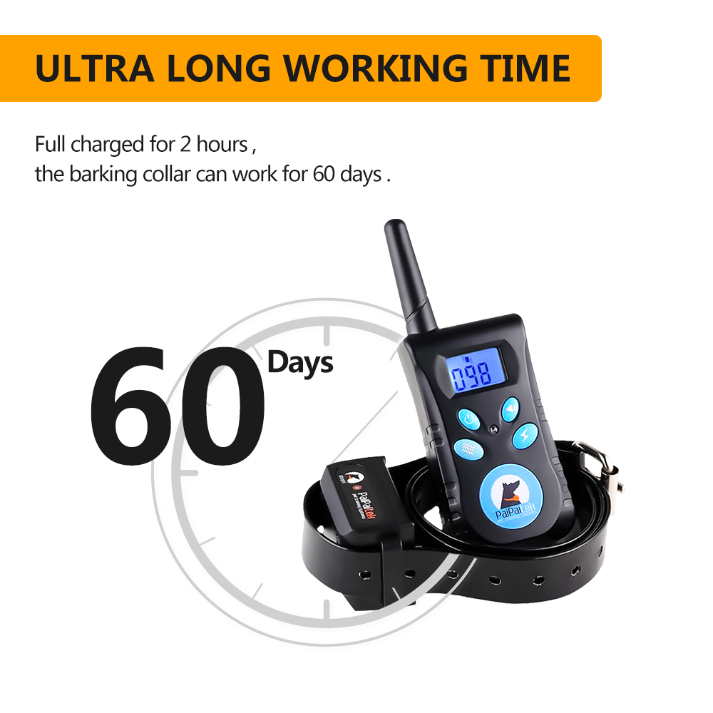 Pet Supplies and Equipment Dog - Pet Supplies Hours Today 리뷰 및 가격