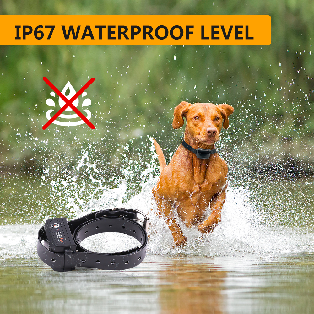 Pet Supplies and Equipment Dog - Pet Supplies Hours Today 리뷰 및 가격