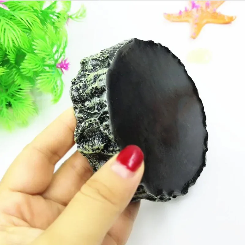 Pet Reptile Feeder Bowl Resin  - Pet Supplies Dropshipping 리뷰 및 가격