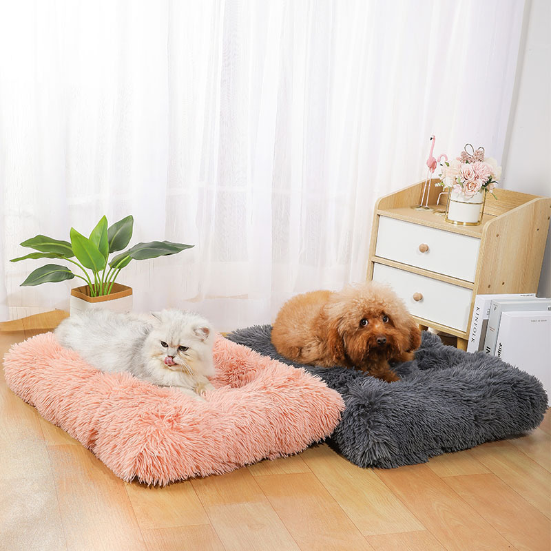 Supplies Mat Amazon Comfortabl - Pet Supplies Amazon 리뷰 및 가격
