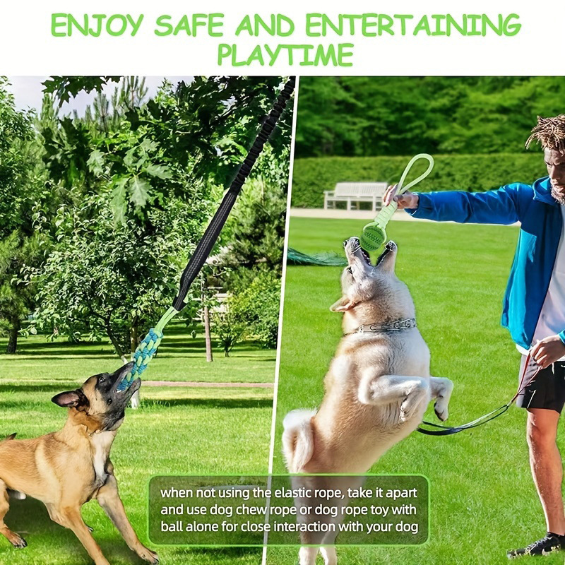 Interactive Dog Toy Tug-Of-War - Pet Dental Chew Toy 리뷰 및 가격