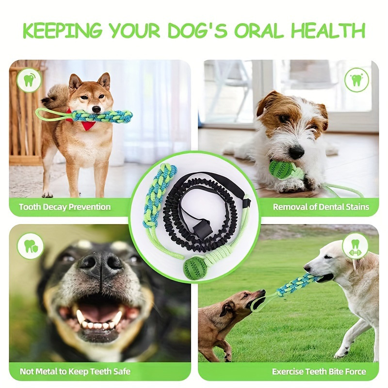 Interactive Dog Toy Tug-Of-War - Pet Dental Chew Toy 리뷰 및 가격