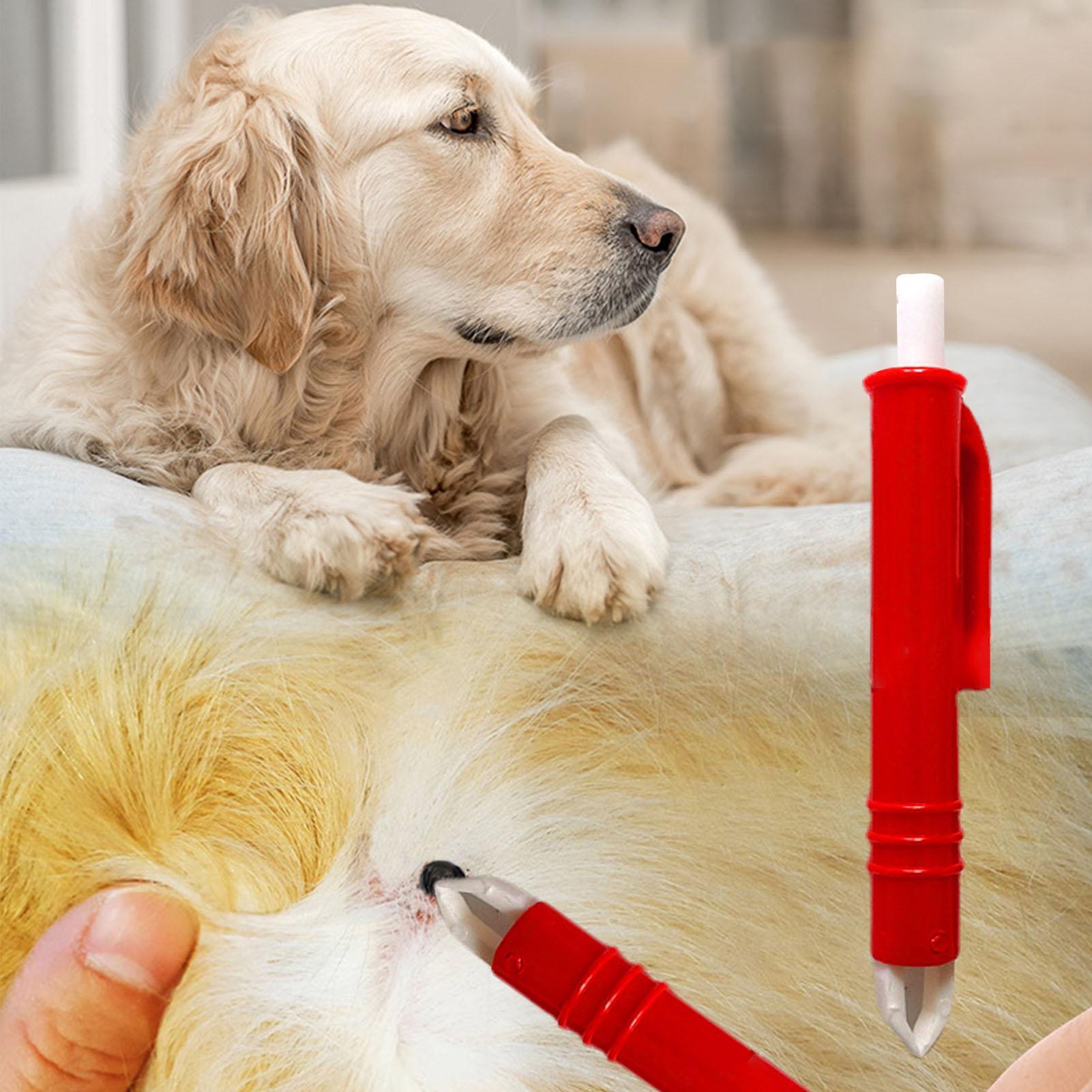 4 pcs Tick Remover Kit Tick Re - Pet Supplies Dropshipping 리뷰 및 가격
