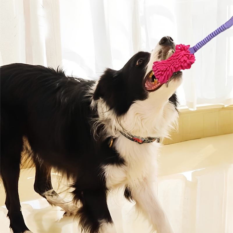 Durable Dog Toys for Aggressiv - Pet Dental Chew Toy 리뷰 및 가격