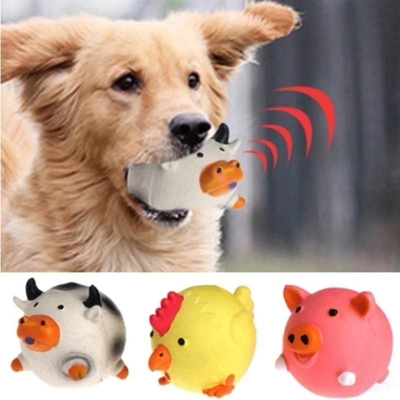 Pet Supplies Amazon Hot sellin - Pet Supplies Amazon 리뷰 및 가격