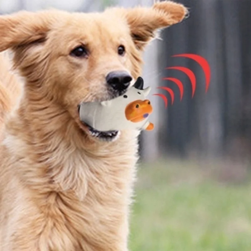 Pet Supplies Amazon Hot sellin - Pet Supplies Amazon 리뷰 및 가격
