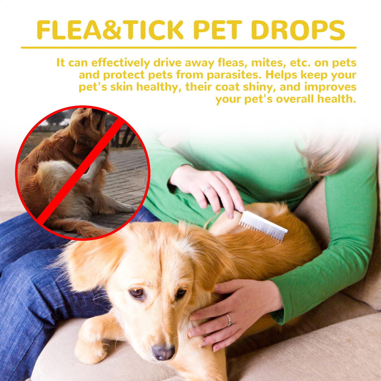 Cat Anti Flea Drops Flea Lice  - Pet Supplies Dropshipping 리뷰 및 가격