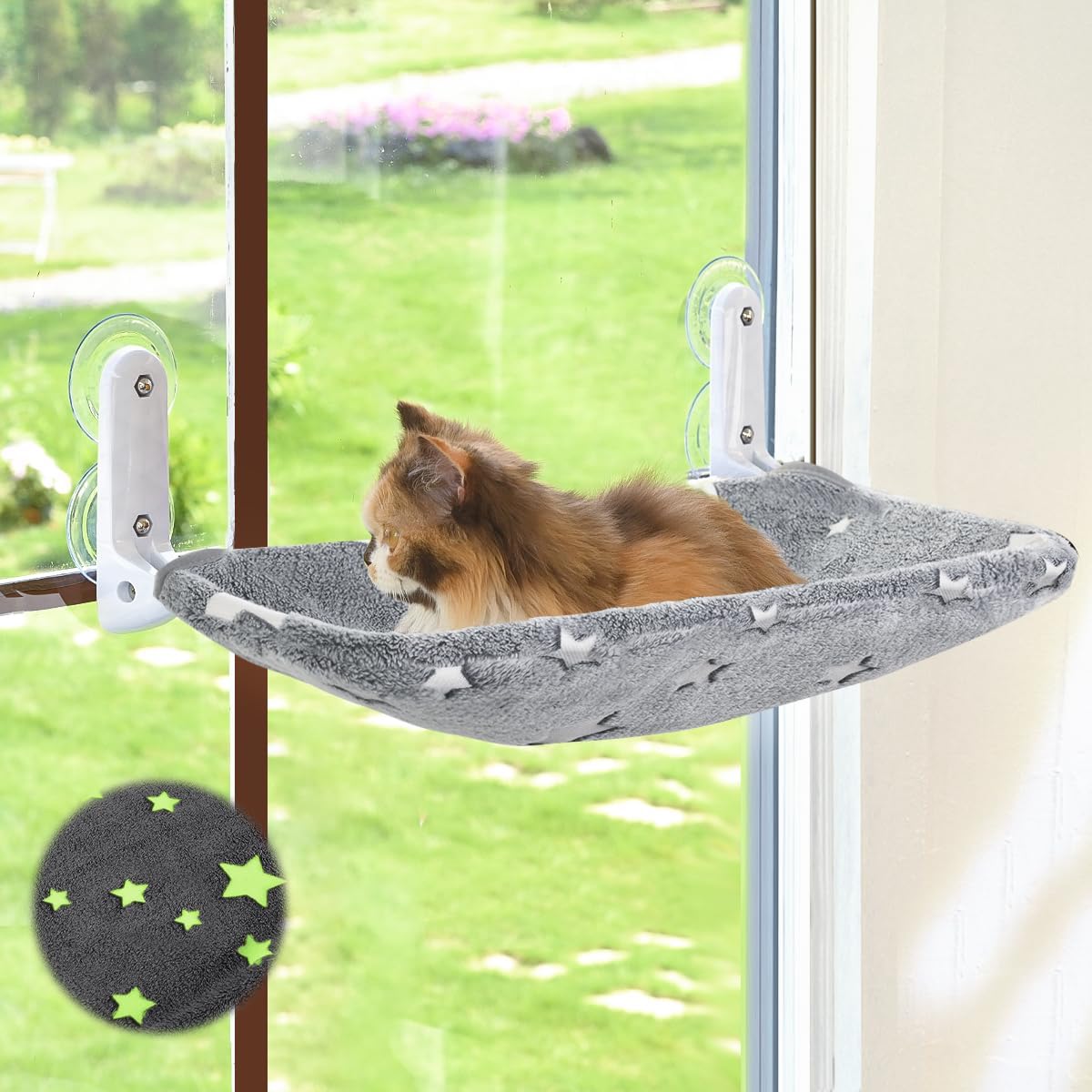 Cat Window Perch, Glow in The  - Cat Window Perch 리뷰 및 가격