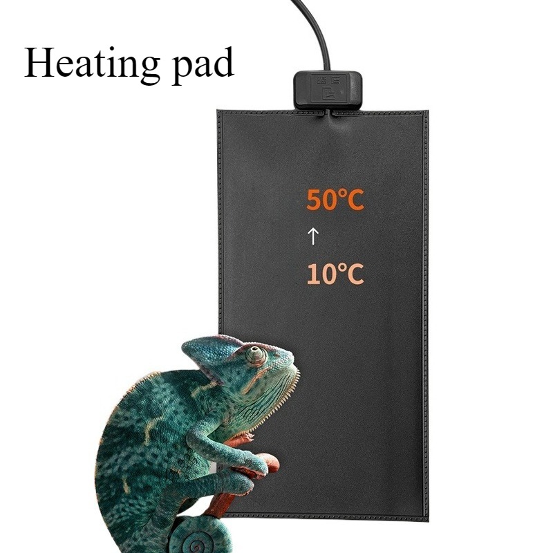 Winter Turtle Fish Tank Insula - Pet Supplies Uk 리뷰 및 가격