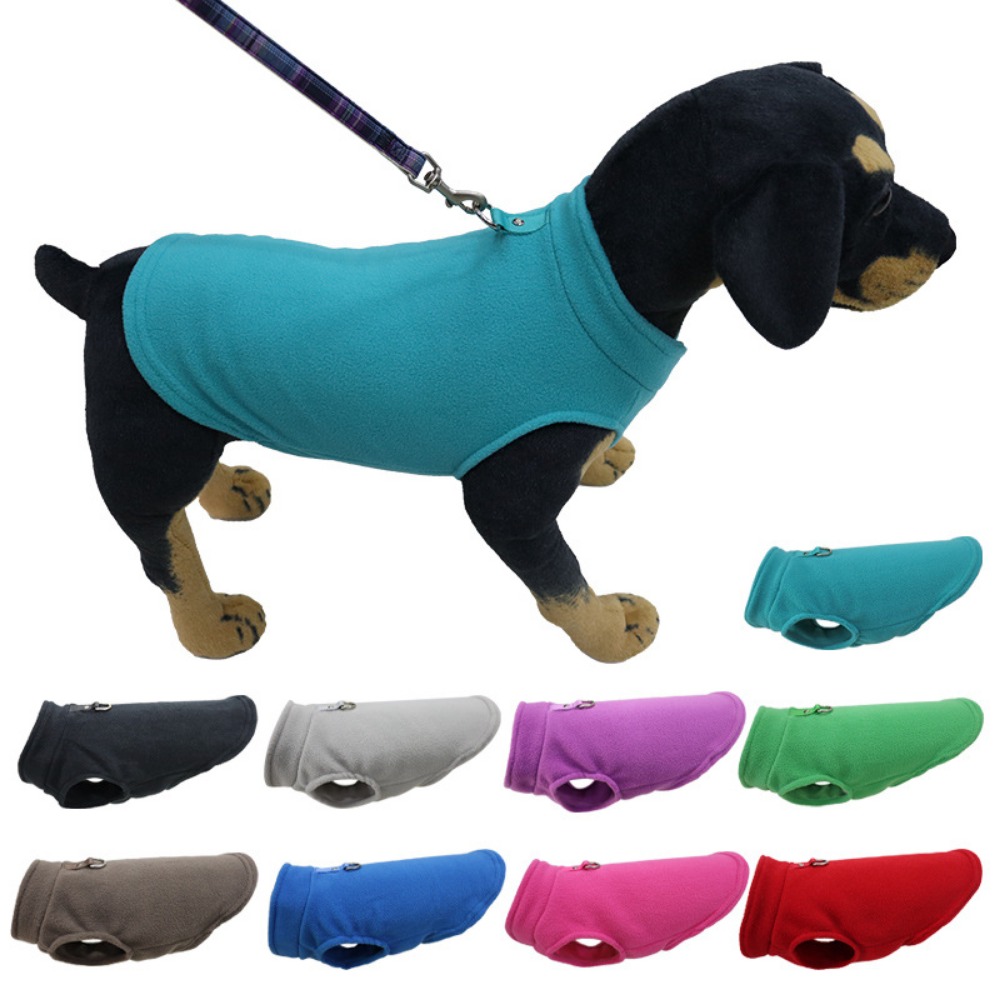 Europe, America, Amazon pet cl - Pet Supplies Amazon 리뷰 및 가격