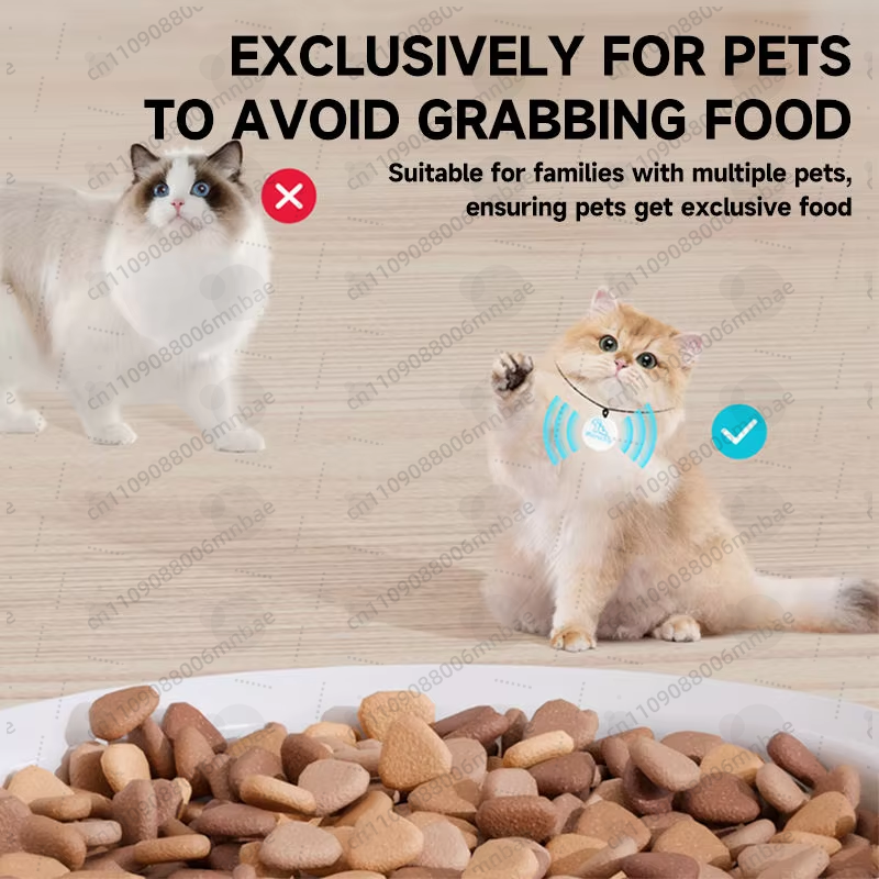 Automatic cat feeder RFID voic - Automatic Pet Feeder 리뷰 및 가격