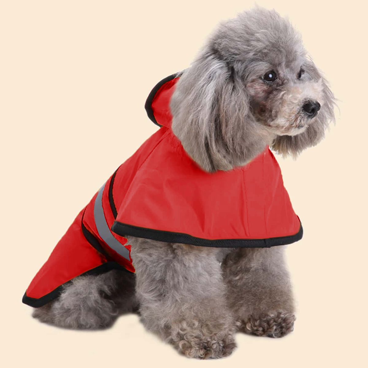 Spring Summer Waterproof Refle - Dog Raincoat 리뷰 및 가격