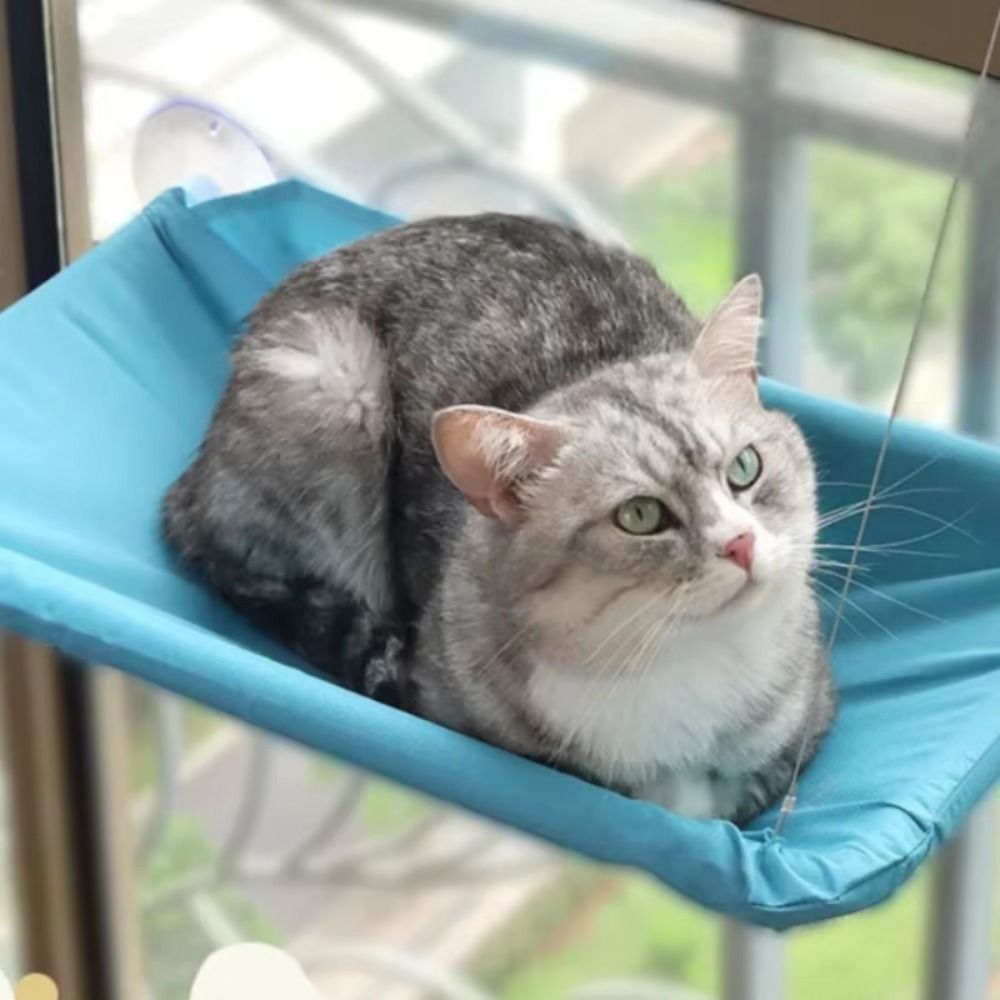Pet Nest Creative Cat Hanging  - Cat Window Perch 리뷰 및 가격