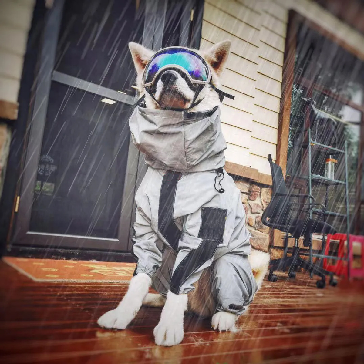 Outdoor Large Dog Raincoat Sun - Dog Raincoat 리뷰 및 가격